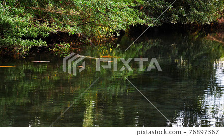 Aso Myojin Pond 76897367