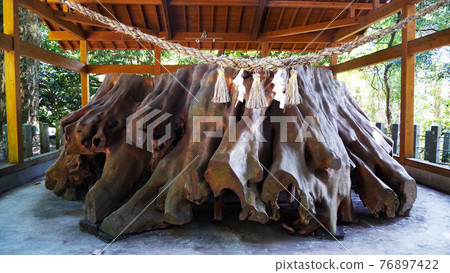 Teno cedar at Aso Kokuzo Shrine Teno cedar at Aso Kokuzo Shrine 76897422