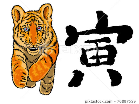 2022, Tiger Year, New Year's card parts 2022, Tiger Year, New Year's card parts 76897559