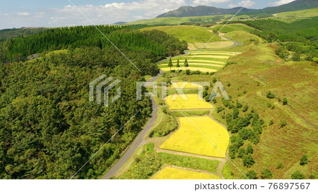 Aerial view of Ogi Rice Terraces in Aso Aerial view of Ogi Rice Terraces in Aso 76897567