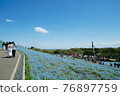 Hitachi Seaside Park, Nemophila of Miharashi Hill 76897759