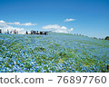 Hitachi Seaside Park, Nemophila of Miharashi Hill 76897760