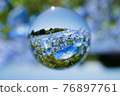 Soratama lens, nemophila 76897761