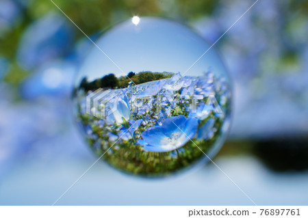 Soratama鏡頭，nemophila 76897761