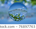 Soratama lens, nemophila 76897763
