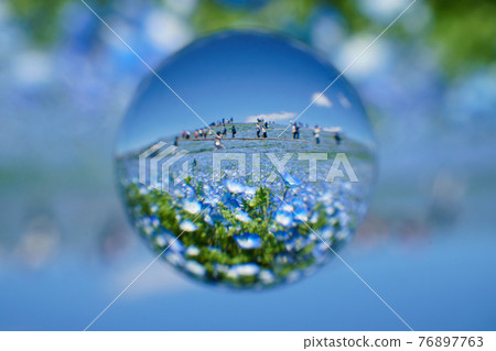 Soratama鏡頭，nemophila 76897763