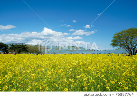 日立海灘公園的強姦領域 76897764