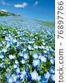Hitachi Seaside Park, Nemophila of Miharashi Hill 76897766