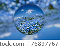 Soratama lens, nemophila 76897767
