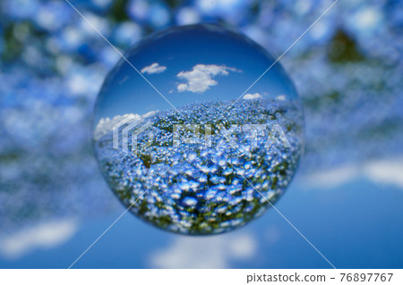 Soratama鏡頭，nemophila 76897767