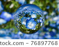 Soratama lens, nemophila 76897768