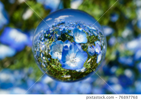 Soratama鏡頭，nemophila 76897768