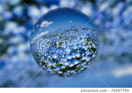 Soratama鏡頭，nemophila 76897769