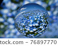 Soratama lens, nemophila 76897770