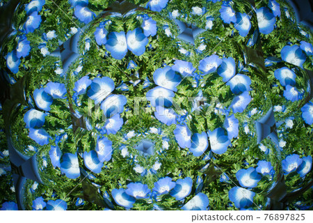 Kaleidoscope lens, nemophila Kaleidoscope lens, nemophila 76897825