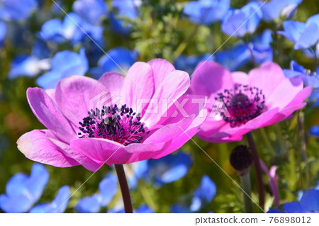 Yamadaike Park 76898012