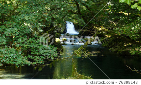Kikuchi Gorge in Aso Kikuchi Gorge in Aso 76899148