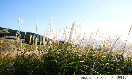 Mt. Kishima and Miscanthus sinensis in Aso Mt. Kishima and Miscanthus sinensis in Aso 76899375