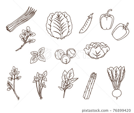 綠色黃色蔬菜 02-線描 76899420
