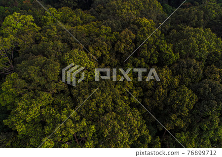Aerial view green tropical rainforest look dpwn view Aerial view green tropical rainforest look dpwn view 76899712