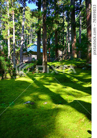 平千寺白山神社海傳和苔蘚胜山市 76899833