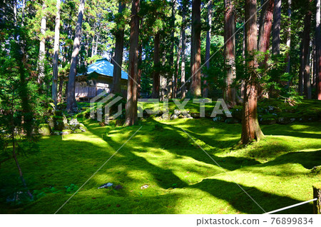 Heisenji Hakusan Shrine Haiden and Moss Katsuyama City Heisenji Hakusan Shrine Haiden and Moss Katsuyama City 76899834