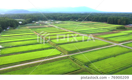 Aerial view of Tateshina field in Nagano Aerial view of Tateshina field in Nagano 76900209