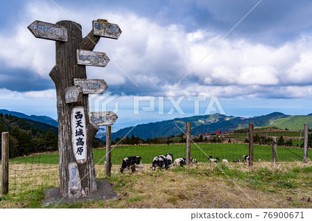 (Shizuoka Prefecture) Nishi Amagi Kogen "Ranch House" Cattle on the ranch 76900671