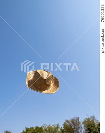 straw hat 76901338