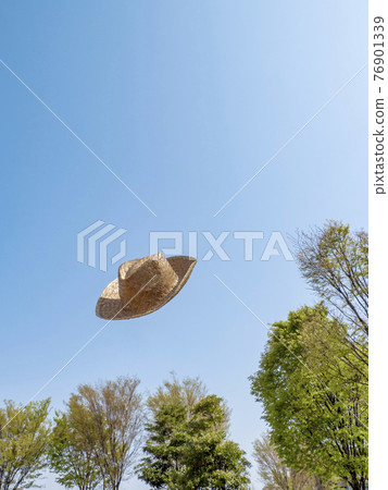 straw hat straw hat 76901339