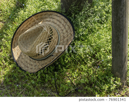 straw hat straw hat 76901341