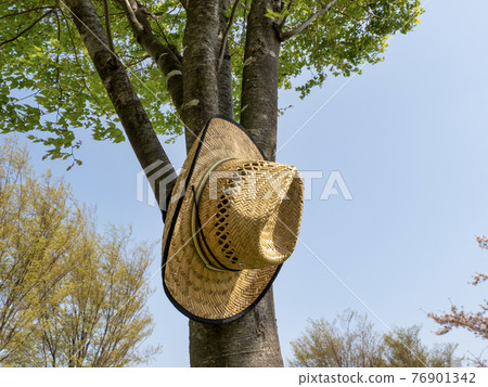 straw hat 76901342