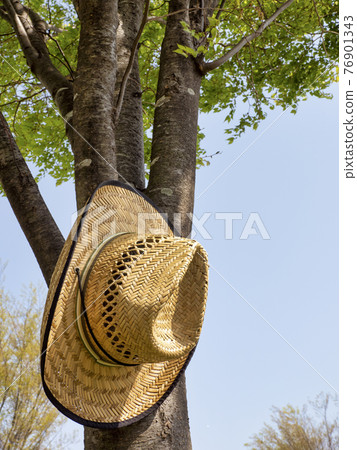 straw hat straw hat 76901343