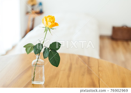 Rose flowers displayed in the room 76902969