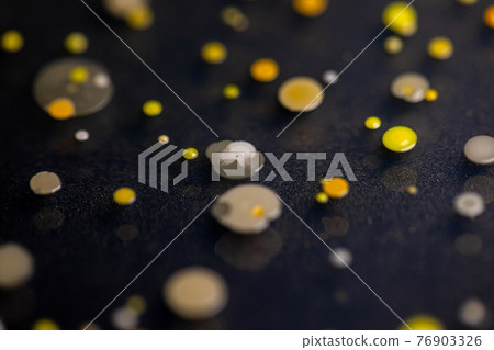 Backgrounds of Characteristics and Different shaped Colony of Bacteria and Mold growing on agar plates from Soil samples for education in Microbiology laboratory. Backgrounds of Characteristics and Different shaped Colony of Bacteria and Mold growing on agar plates from Soil samples for education in Microbiology laboratory. 76903326