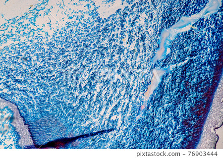 Characteristics of fungi living in wood as a group, are polyphyletic under the microscope for education. Characteristics of fungi living in wood as a group, are polyphyletic under the microscope for education. 76903444