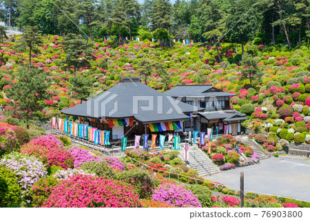 青梅市鹽船觀音杜鵑花節 青梅市鹽船觀音杜鵑花節 76903800