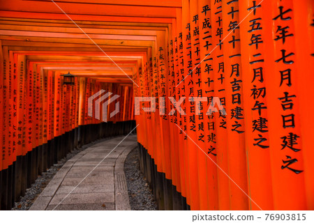 Fushimi Inari shrine in Kyoto, Japan Fushimi Inari shrine in Kyoto, Japan 76903815