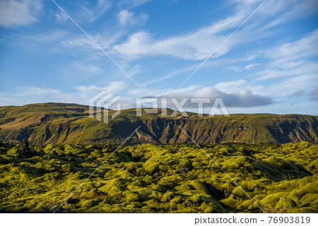 moss cover on volcanic landscape of Iceland 76903819