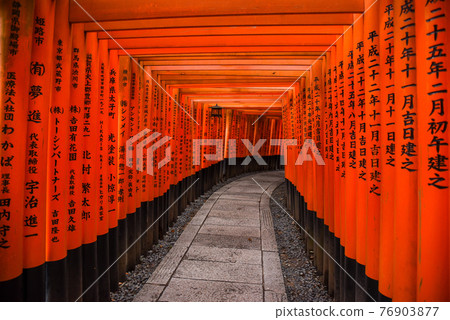Fushimi Inari shrine in Kyoto, Japan Fushimi Inari shrine in Kyoto, Japan 76903877