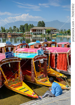 Dal lake at Srinagar, Kashmir, India 76903902