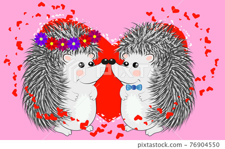 Couple of happy loving hedgehogs. 76904550