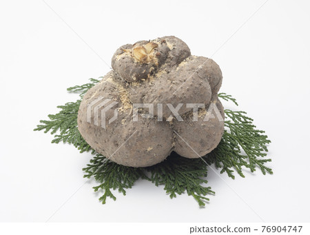 Ise potato Ise potato 76904747