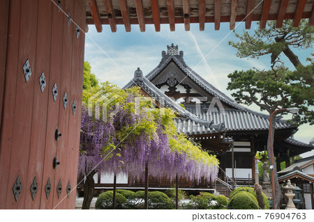 藤井寺四足門（西門）（大阪府藤井寺市藤井寺） 76904763