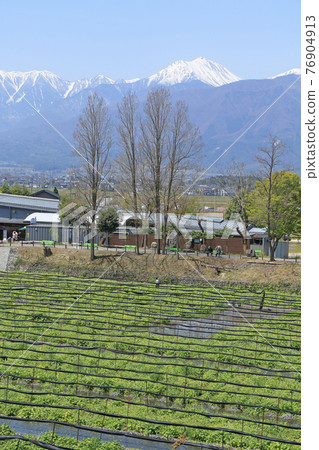 Azumino Daio Wasabi Farm Spring 76904913