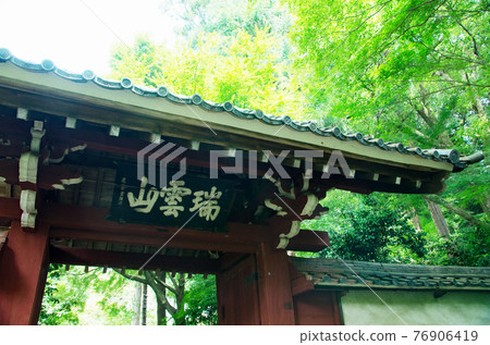Hydrangea of Mikawa Honkoji Temple 76906419