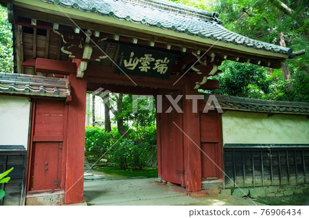 Hydrangea of Mikawa Honkoji Temple 76906434