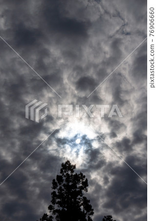 白色的太陽、茂密的樹木和灰色的雲彩 76906660