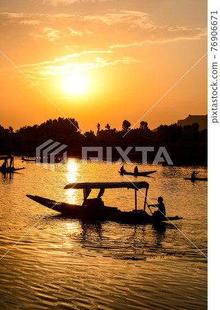 Sunset Dal Lake in Srinagar, Kashmir, India 76906671