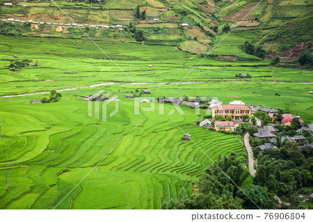 Rice field terraced in Tule village, Vietnam 76906804